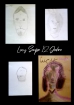 Lucy Saupe