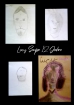 Lucy Saupe