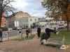 Parkourtraining mit Ferdi