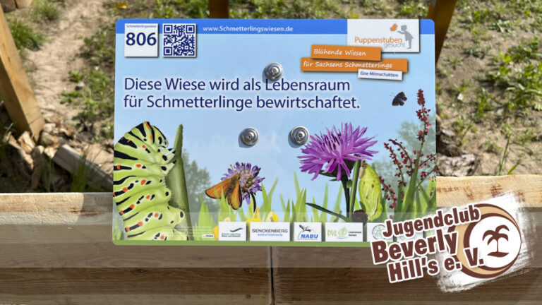 Blühwiese jetzt offiziell Schmetterlingswiese