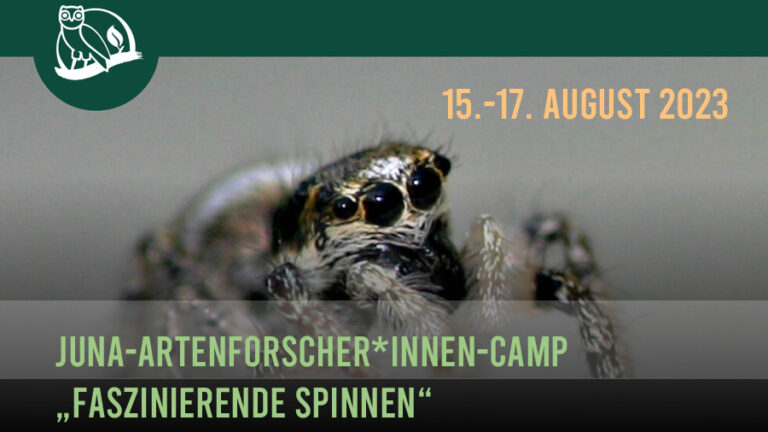 Ferientip: JuNa-Artenforscher*innen-Camp „Faszinierende Spinnen“